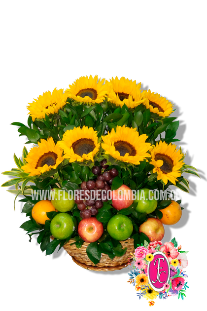 "Florencia" 8 girasoles - Flores de Colombia