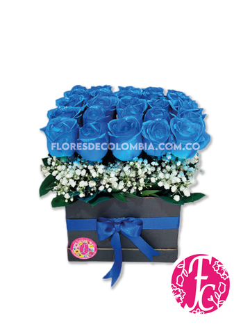 Caja 24 rosas azules - Flores de Colombia