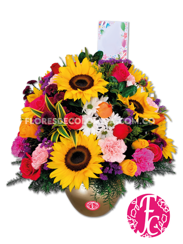 Luz de Primavera - Flores de Colombia