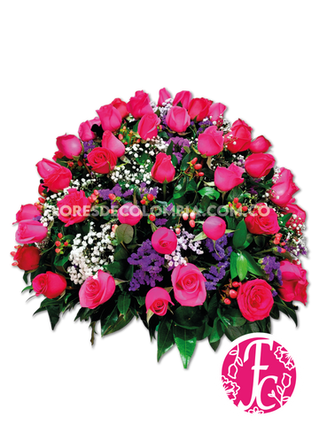 Magenta Salvaje - Flores de Colombia