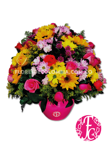 Explosión Tropical - Flores de Colombia