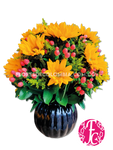 Girasoles del Café - Flores de Colombia