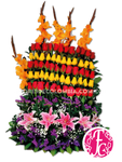 Encanto Exótico - Flores de Colombia