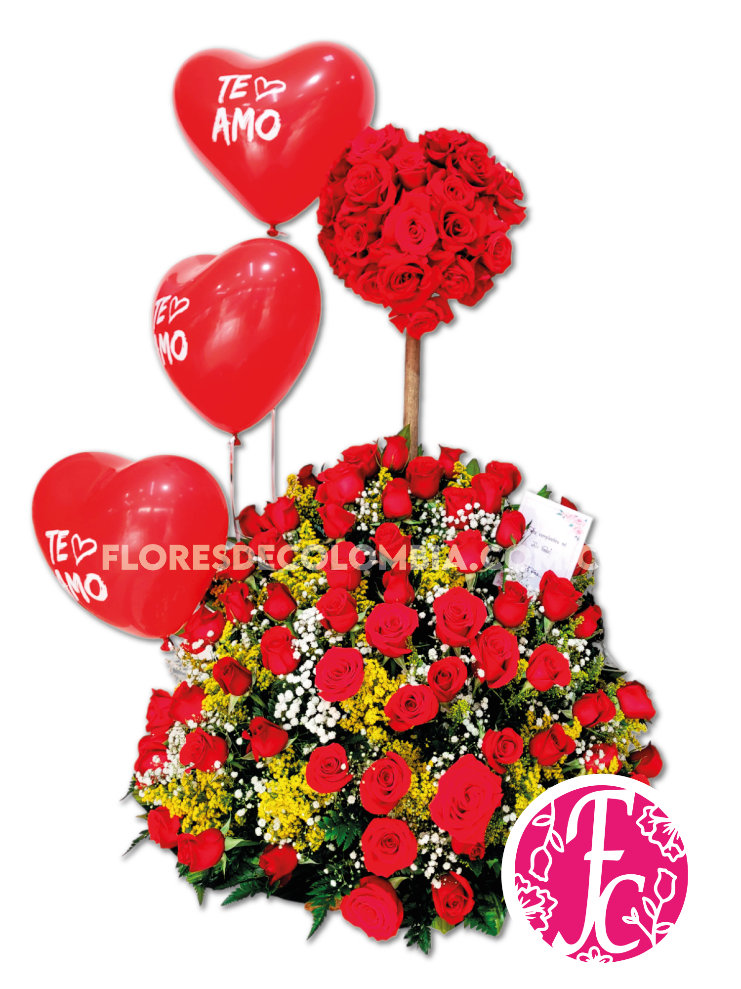 Corazón rebosante - Flores de Colombia