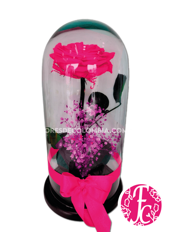Rosa preservada Fucsia - Flores de Colombia