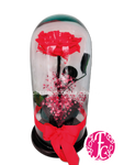 Rosa preservada Roja - Flores de Colombia