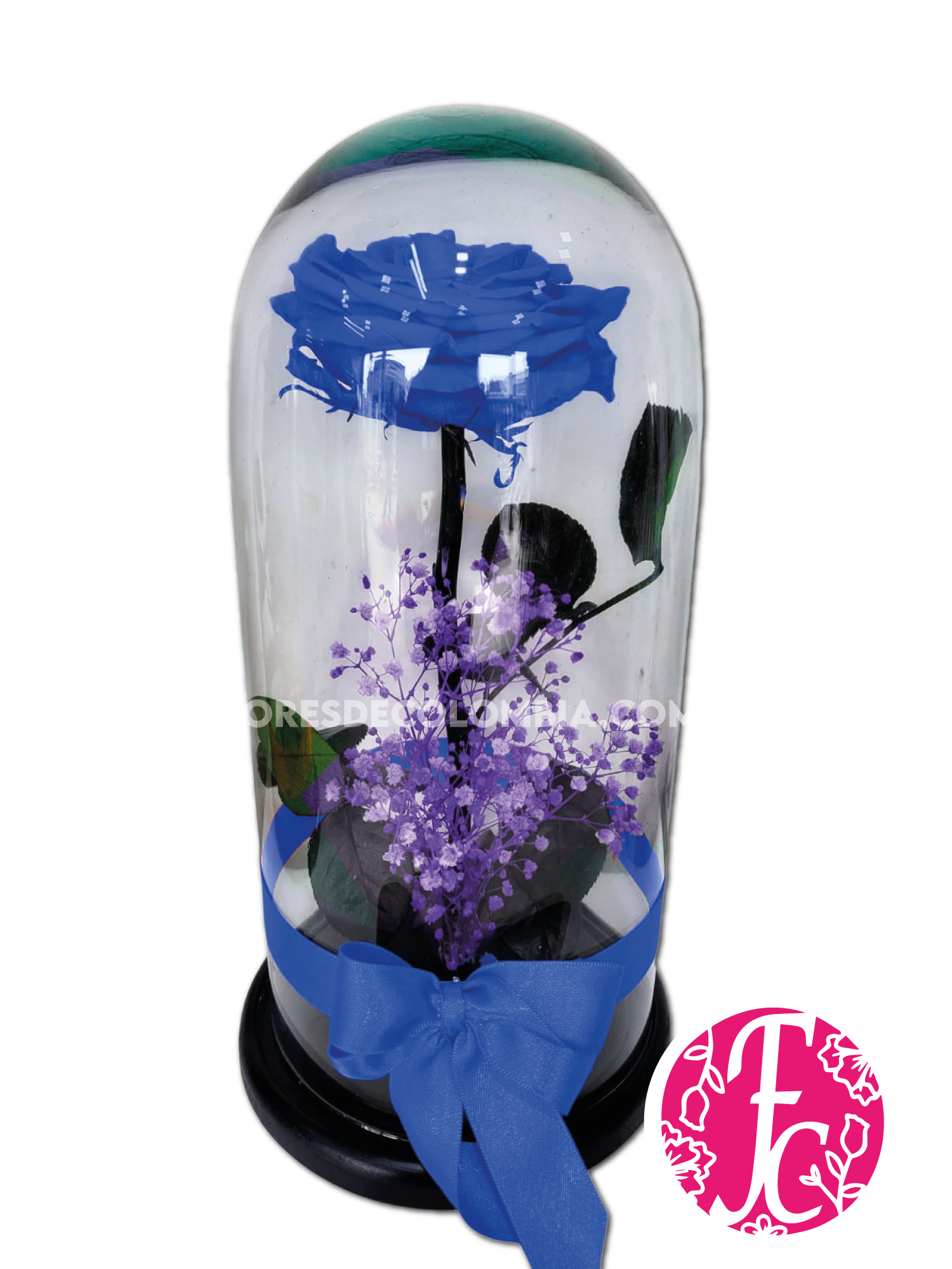 Rosa preservada Azul - Flores de Colombia