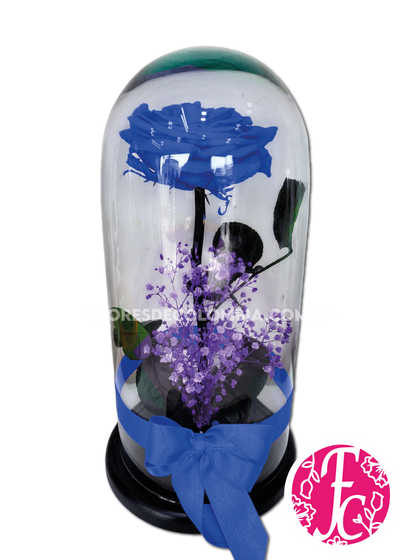 Rosa preservada Azul - Flores de Colombia