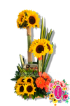 Doble topiario de girasoles - Flores de Colombia