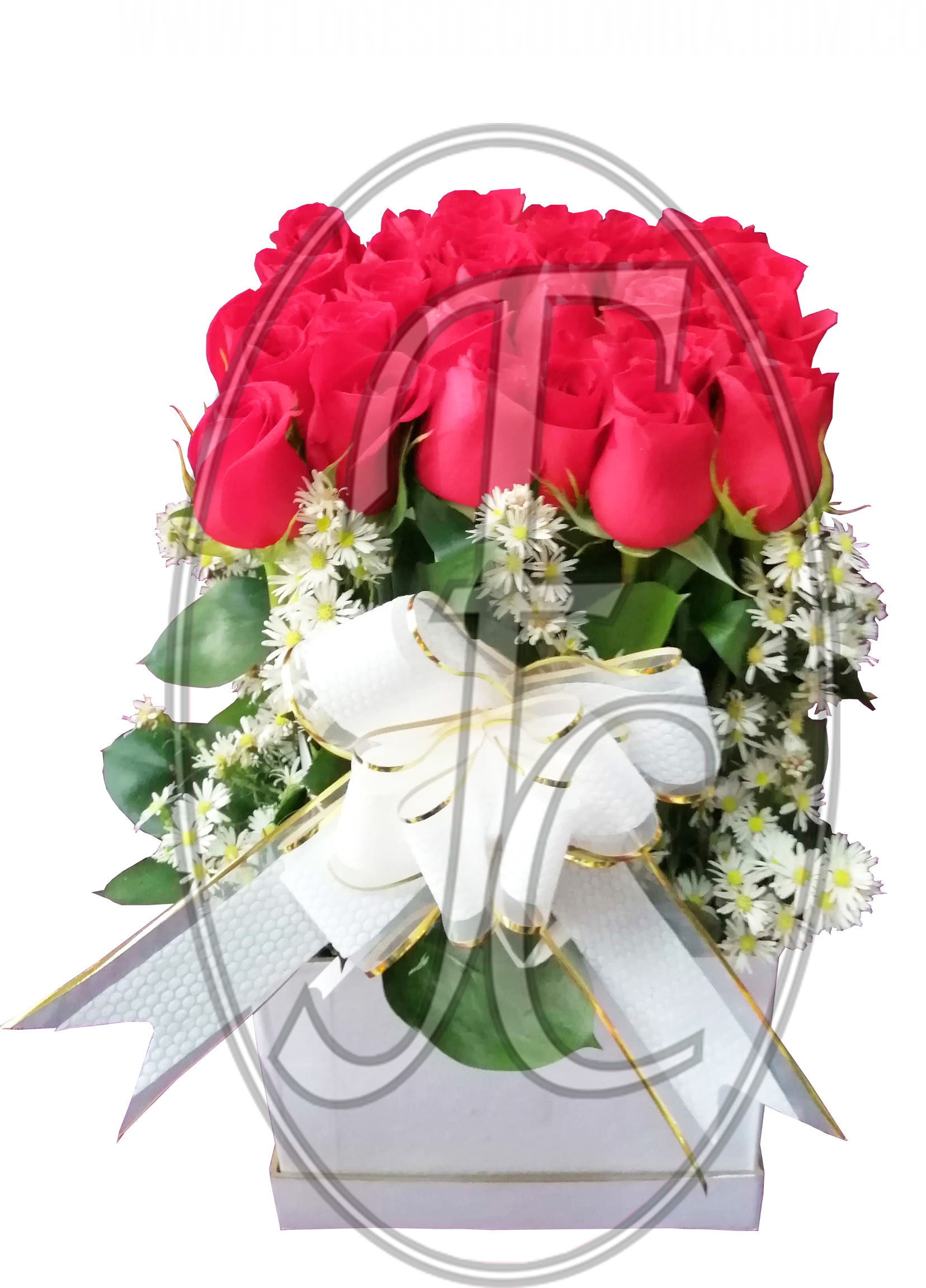Caja regalo de 24 rosas │ Flores de Colombia