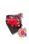 Ramillete 12 rosas - Flores de Colombia