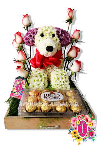 "Rocky" peluche floral con chocolates - Flores de Colombia