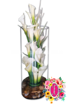 Florero de cartuchos y chamizos - Flores de Colombia