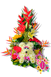 "Caruru" peluche floral y rosas - Flores de Colombia