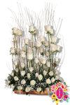 Jardin de rosas blancas - Flores de Colombia
